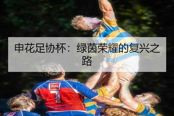 申花足协杯：绿茵荣耀的复兴之路
